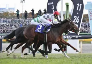 11月のジャパンカップを制した武豊騎乗のドウデュース=東京競馬場