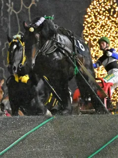 馬上の人 アクセル全開で駆け上がる、サクソフォン奏者 上野耕平 - WEBマガジン