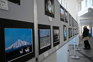 レンズが捉えた宗谷の自然 稚内で写真サークル作品展：北海道新聞デジタル