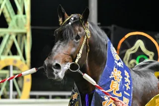 11月23日のレース紹介 ドリームエイジカップ＜ばんえい競馬＞：北海道