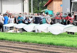カラマツ苗木畑、全国の生産者らが見学　美瑛で「集い」