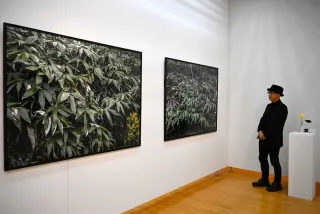 北海道内の「囚人道路」、写真と香りで再現 札幌の大橋さんが作品展