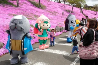 シバザクラをバックにご当地キャラクターと記念撮影する来園者