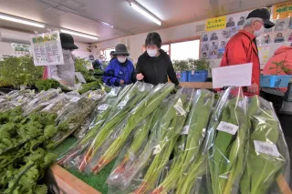 美幌町農協の直売所が営業開始　新鮮野菜求め大にぎわい