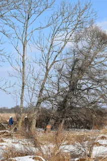 メガソーラー着工に釧路市民憤り　「駆け込みだ」批判も