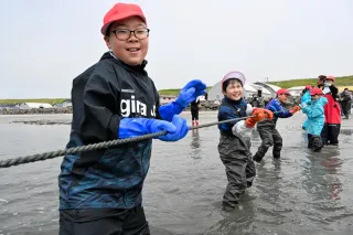 根室市友知地区で地引き網漁を体験する歯舞学園4年生