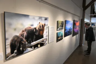 自然写真家・寺沢孝毅さんの写真展「知床・天売 奇跡の野生」　小清水ツーリストセンターで　14日はトークイベントも