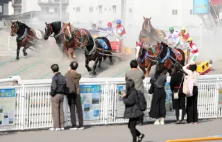 ばんえい競馬、10～12日も中止　馬インフル感染疑い、累計400頭に