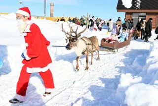 そりに乗ってサンタ気分　幌延で「トナカイフェスタ」