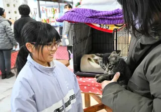 新ひだかの団体が保護猫譲渡会