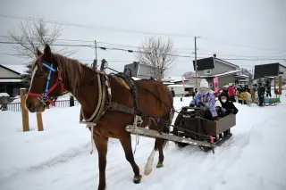 馬そり復活！雪上を一歩一歩　訓子府で体験イベント
