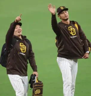 【MLB】ダルビッシュ、松井選手所属 パドレス公式 フーディ MLB】ダルビッシュ、松井選手所属 パドレス公式 フーディ MLB