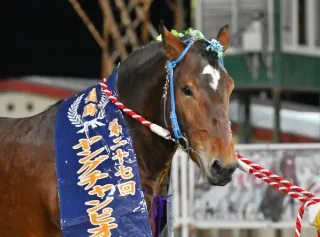 3月15日のレース紹介　第57回イレネー記念＜ばんえい競馬＞