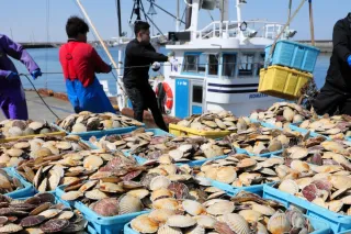 北海道内漁業生産額12％増　3年ぶり3千億円上回る　ホタテなど高騰