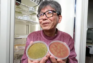 砂漠や月面の緑化、コケ植物で　北大教授ら5月にもスタートアップ設立