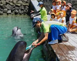 太地の博物館でクジラの歯磨き 洗車ブラシ使い健康PR：北海道新聞デジタル