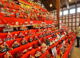 ひな人形、いにしえ街道に彩り　3月8日まで「江差・北前のひな語り」