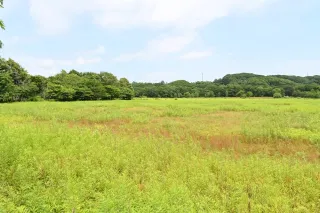 【独自】苫小牧市公募のメガソーラー計画、異例の事業者撤退　住民反対で困難と判断か