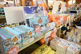 北見たまねぎ　きーたんグッズ急増　ボールペンや付箋、シールなど14商品、20カ所で販売　上海の博覧会にも