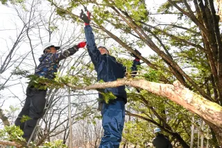 釧路市動物園の樹木を剪定　造園技能士会が地域貢献