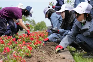 旧新十津川駅跡に彩り　高校生と高齢者ら花を植栽