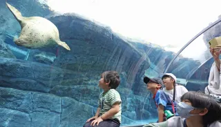 「こどもの日」円山動物園にぎわう　札幌市内は6月中旬並みの陽気に