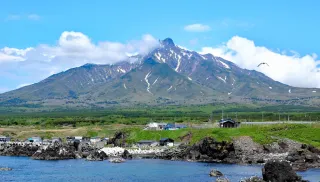 天売島・焼尻島」旅 その9（焼尻島） 風雪に耐えた奇木が見