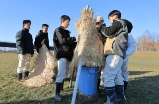 タンチョウの越冬を助けたい　帯工高生、十勝川沿いに給餌場＜フォトかち＞