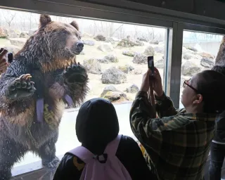 釧路市動物園エゾヒグマ館が改装オープン 「クッタ」「カイ