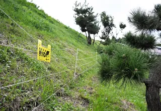 ヒグマの目撃・食害が3倍超に　江差町で25年度　巡視ドローンや暗視スコープで対策強化へ