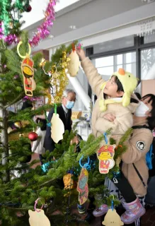 クリスマスツリーきらきら　天塩の園児が飾り付け