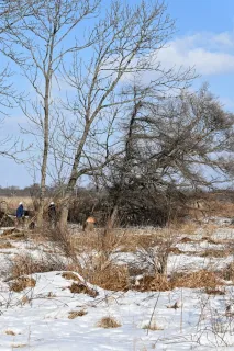 釧路市教委、メガソーラー事業者を指導　昭和地区の着工「無許可」
