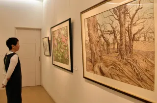 色の濃淡繊細に、近作19点 高橋豊美さん水彩画展＜みなみ風＞：北海道