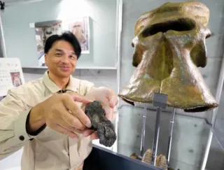 ナウマン象　化石 幕別でナウマンゾウ化石 54年ぶり発見 頭骨部分、全身完全復元に期待