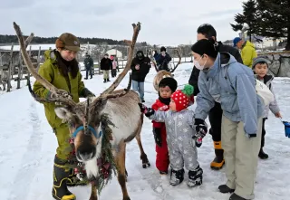トナカイに触れてXマス気分　幌延・観光牧場でフェスタ