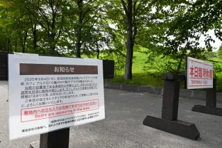 美唄市、クマ出没周知に課題　9月7件目撃、LINEのプッシュ通知ゼロ