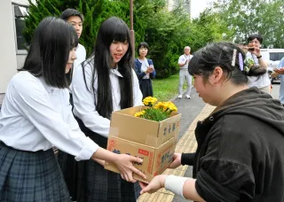 生徒が育てたお花、七飯高飾る　養護学校高等部が寄贈