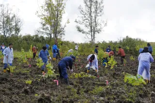 北海道電力、当別「道民の森」の育樹開始　25年度末まで6千本植樹