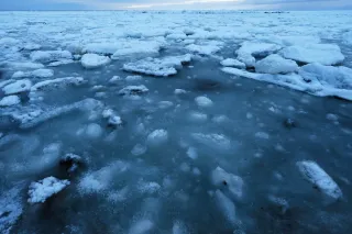 流氷シーズンいよいよ　北見・常呂に「グリースアイス」出現
