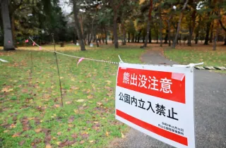 周辺でヒグマの出没が相次ぎ、全面閉鎖された札幌市中央区の円山公園＝昨年11月