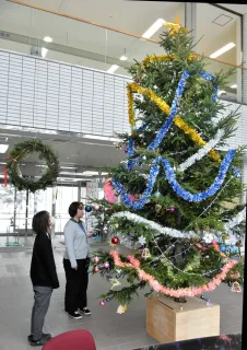 高さ5.5メートル、クリスマスツリーお目見え　幌延町役場