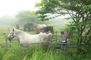 奥尻島に通い畜産支える「動物のお医者さん」　生産者の信頼に応え続け＜ドキュメントＤ＞