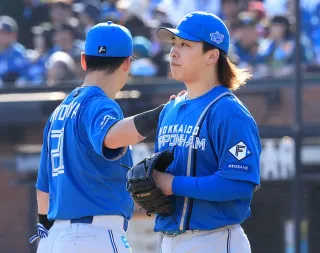 日本ハムの公式ガイドブック2026発売 伊藤と郡司の対談など 北海道新聞