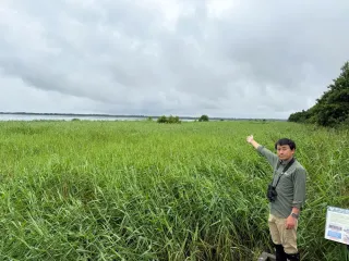 ウトナイ湖隣接の工業団地計画　「開発と保全」両立へ野鳥の会も検討会参加