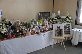 苫小牧 名牝ジェンティルドンナの献花台　ノーザンホースパーク内に　「気高き姿を忘れません」記帳スペースも