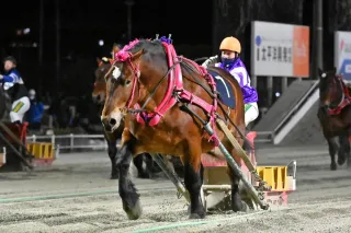 情報パドック　ポプラ賞はスターイチバン制す　新人阿部優哉騎手が重賞初勝利