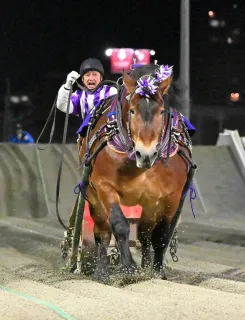 ばん馬の足元見守る 「難しいがやりがいある」 帯広競馬場の装蹄師