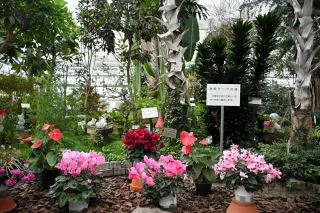 北見市緑のセンター存廃問題　3680筆署名も財政難で2027年閉鎖方針　民間売却に法の壁