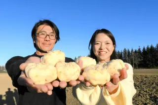 楽天市場】ゆりね（月光） 北海道産 L~2Lサイズ 1kg : JA帯広