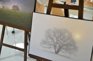 トカチのモノがたり＞野村亜土さん＝陶芸 手製の型で動物あしらう